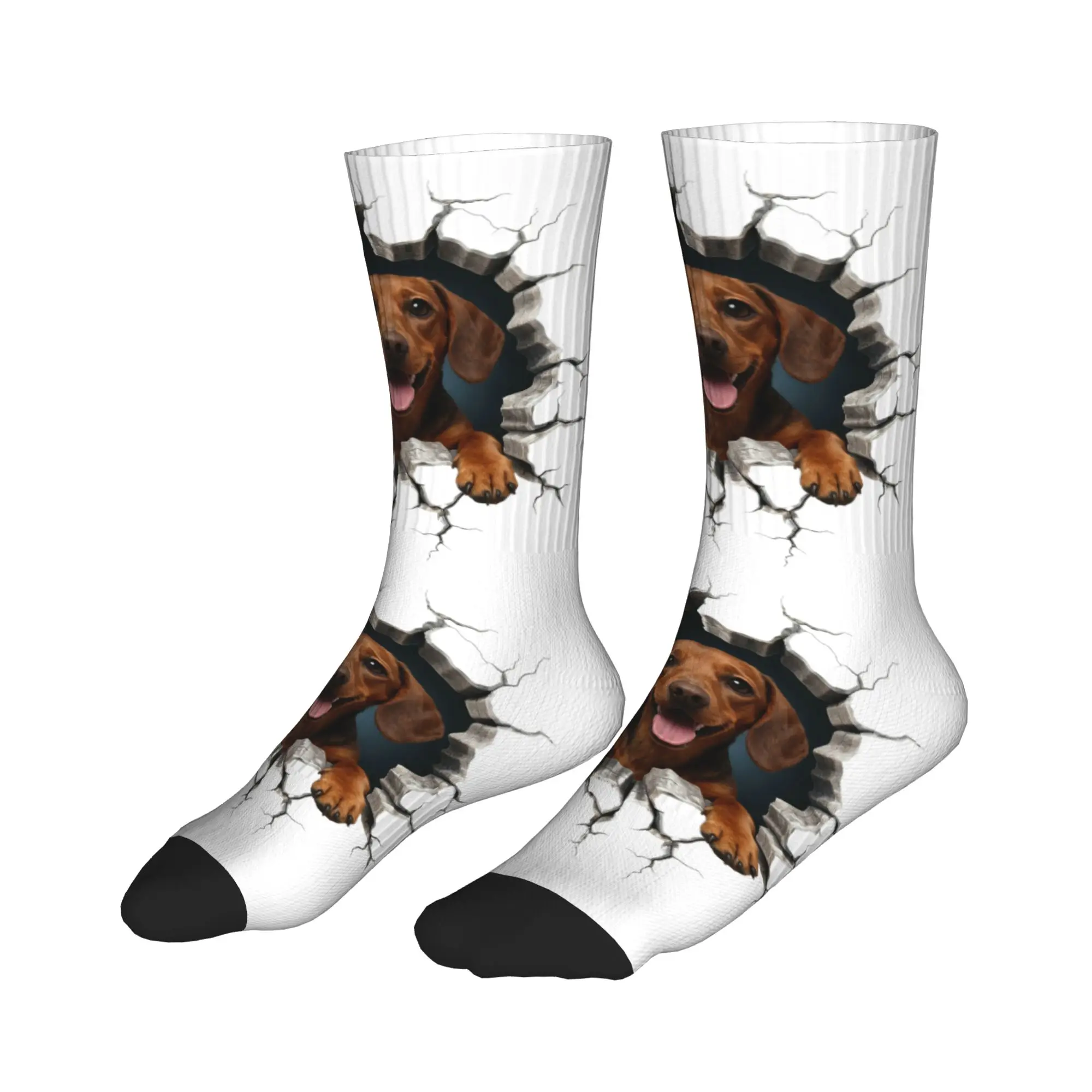 Funny Printed Breaking Through Dachshund Dog Socks for Men Women Stretchy Summer Autumn Winter  Crew Socks view 3