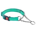 Pet collar green