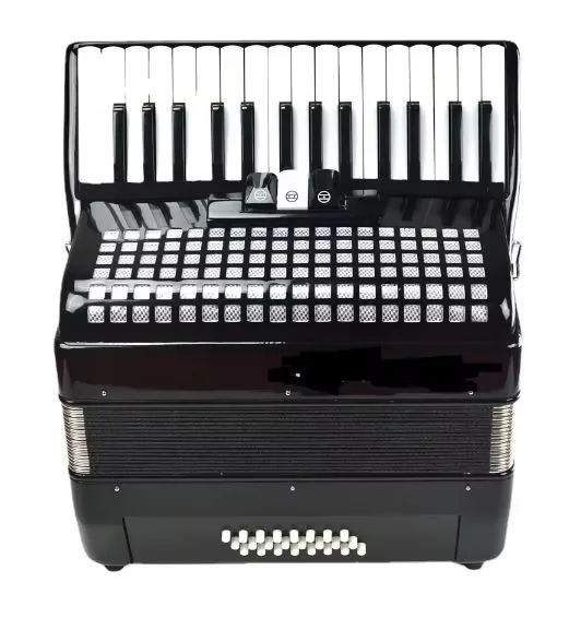 30-Key 24-Bass Piano Accordion for Beginners, Compact Portable Hand Accordion with 2 Voices, Includes Case & Straps