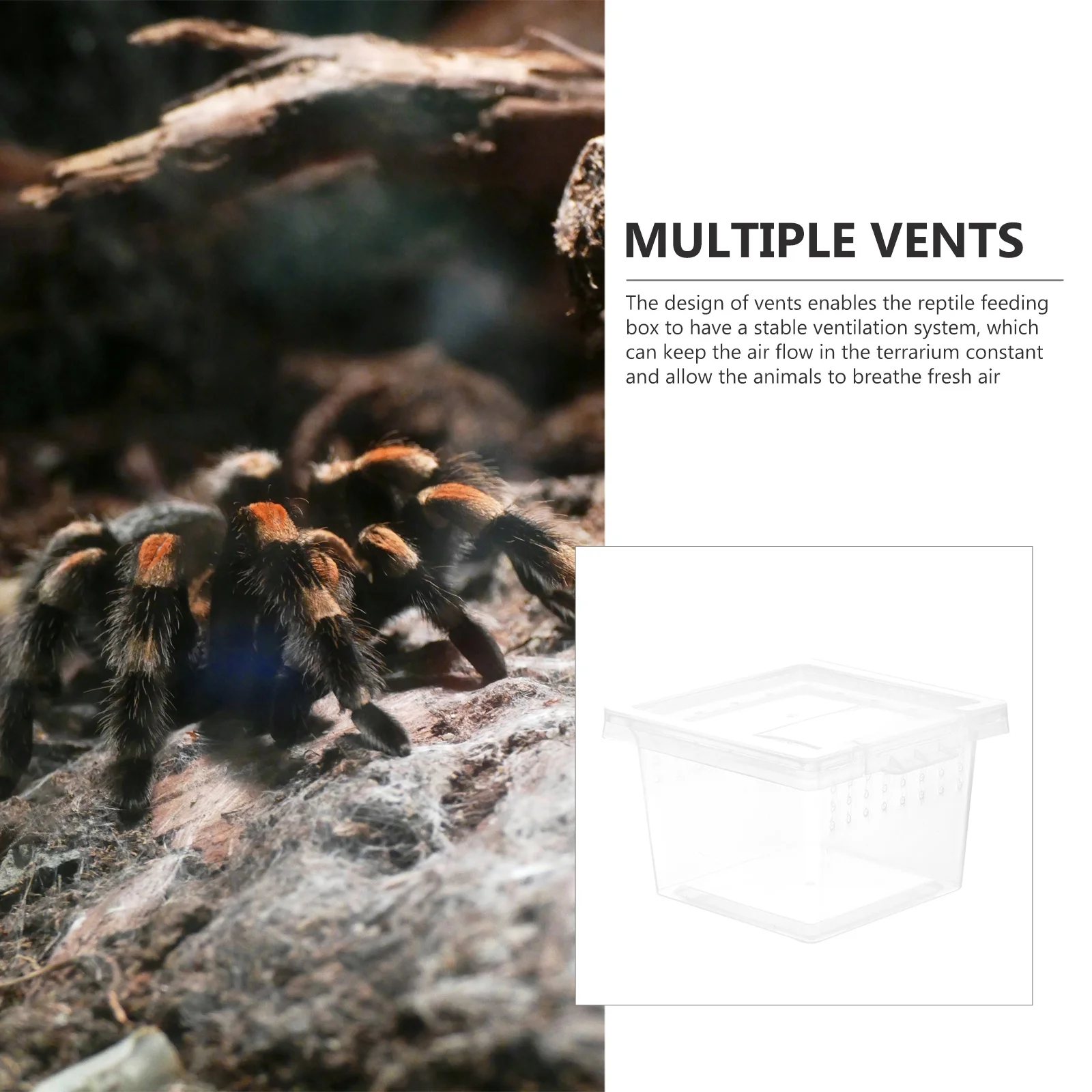 

Medium Transparent Plastic Reptile Breeding Box with Ventilation Breeding Container Lightweight Pet Display Case for Snakes