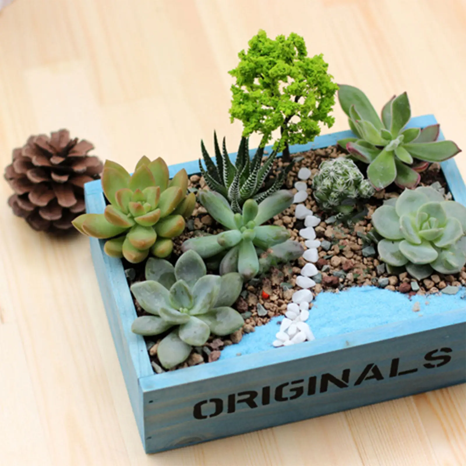 

2Pcs Retro Wooden Succulent Planter Box with English Letters Decorative Desktop Flowerpot for Cactus Aloe Vera Plants Home