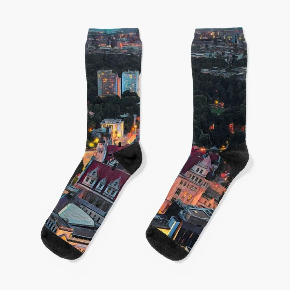 

Leipzig Socks hiking essential Thermal man winter cartoon Socks For Women Men's