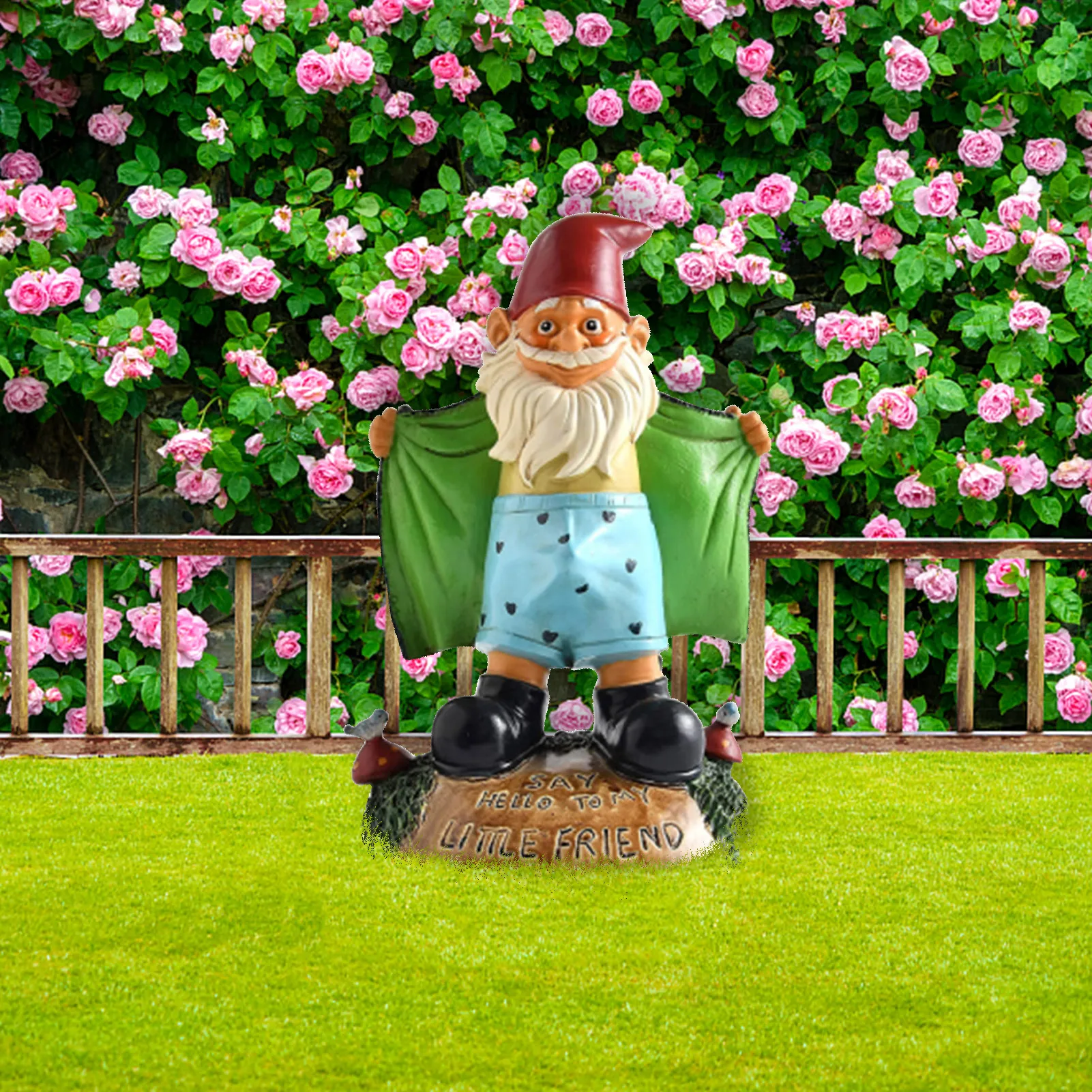 Funny Naughty Garden Gnome Statue Lawn Gnome Figurine SAY HELLO TO MY LITTLE FRIEND Dwarf Shows Underpants Garden Gnome Decor