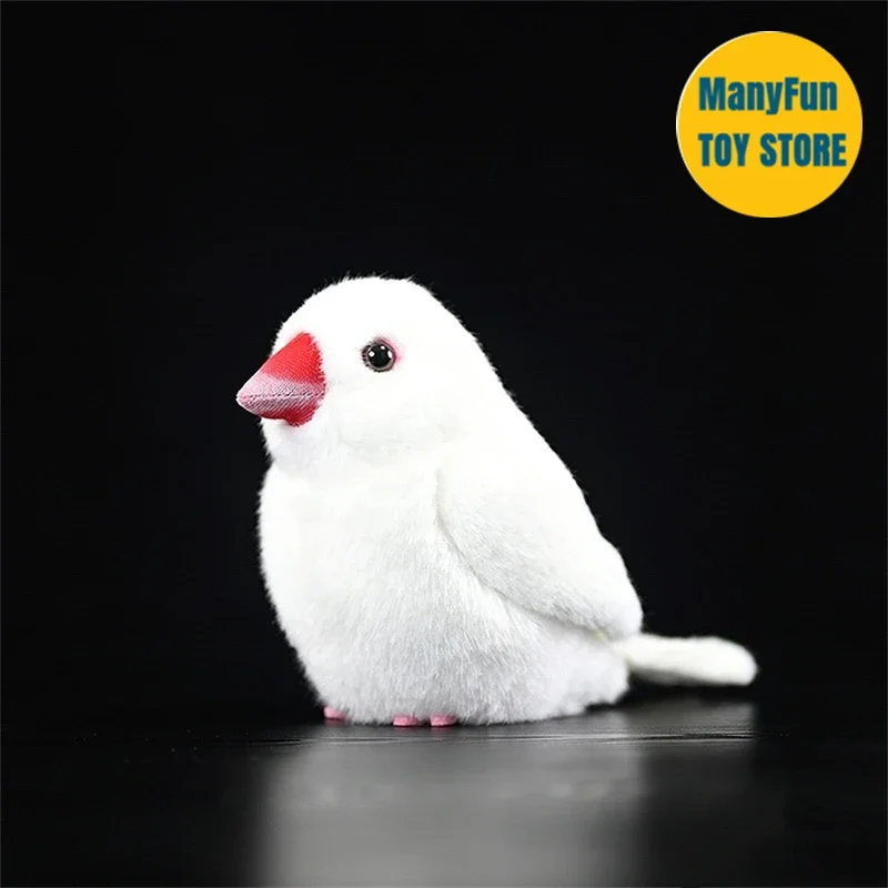 الأبيض جافا سبارو عالية الدقة فينش بلوشي جافا الأرز الطيور ألعاب من نسيج مخملي نابض بالحياة الحيوانات المحشوة لعبة محاكاة للأطفال #4