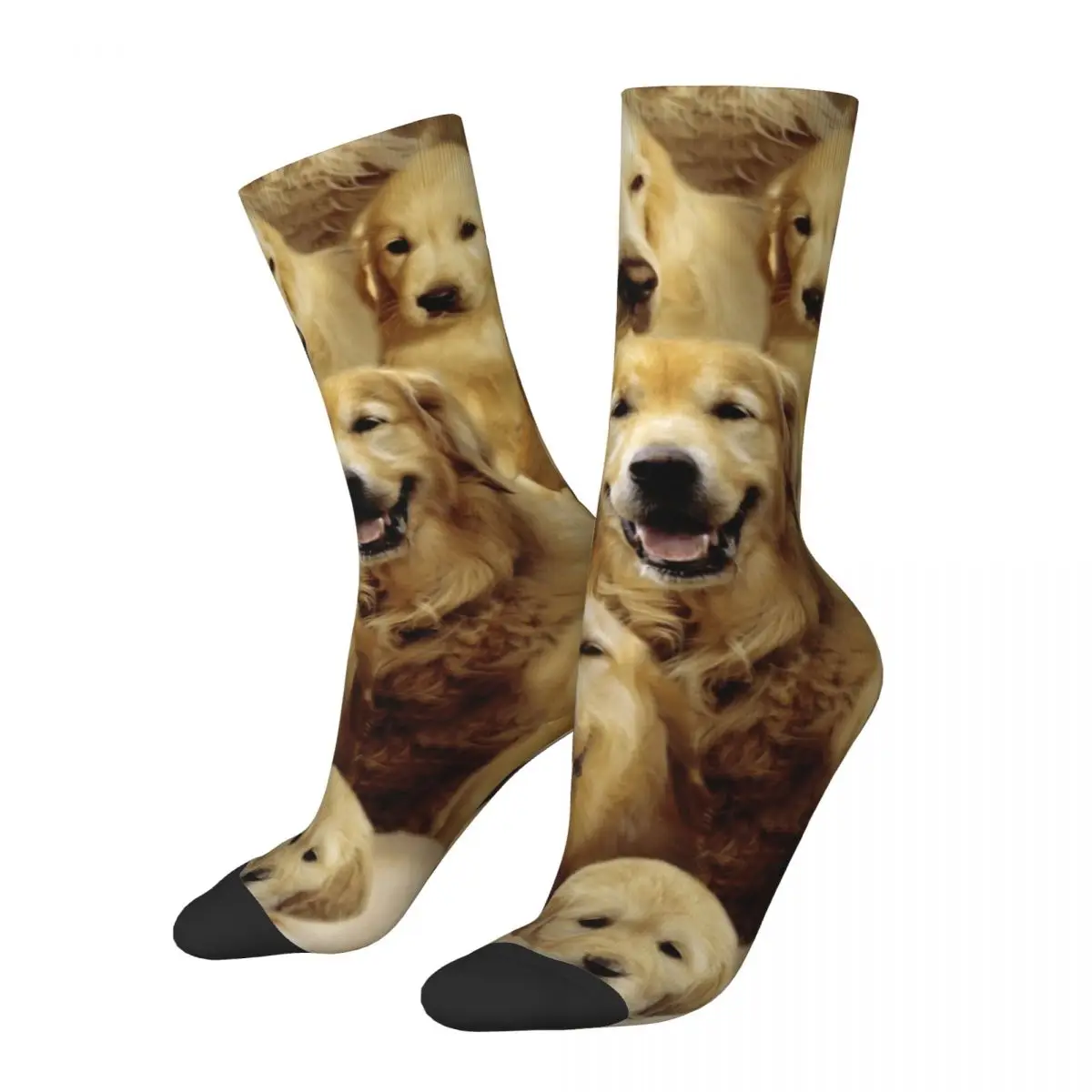 Happy Funny Male Men Socks Harajuku Golden Retrievers Cute Dog Sock Polyester Graphic Women Socks Spring Summer Autumn Winter