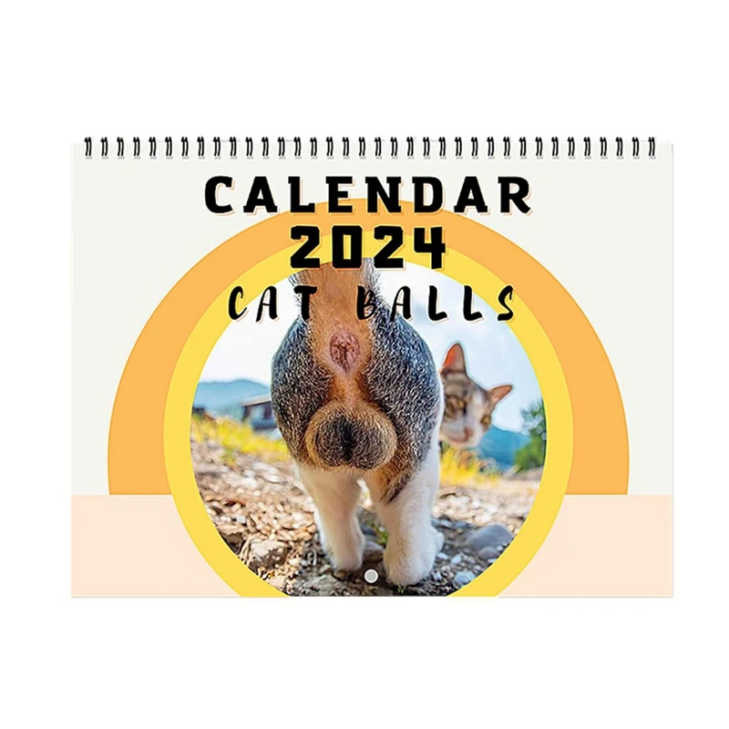 Calendario delle palle di gatto 25 x19cm calendario divertente del buco del gatto calendario delle palle di gatto di 12 mesi 2024