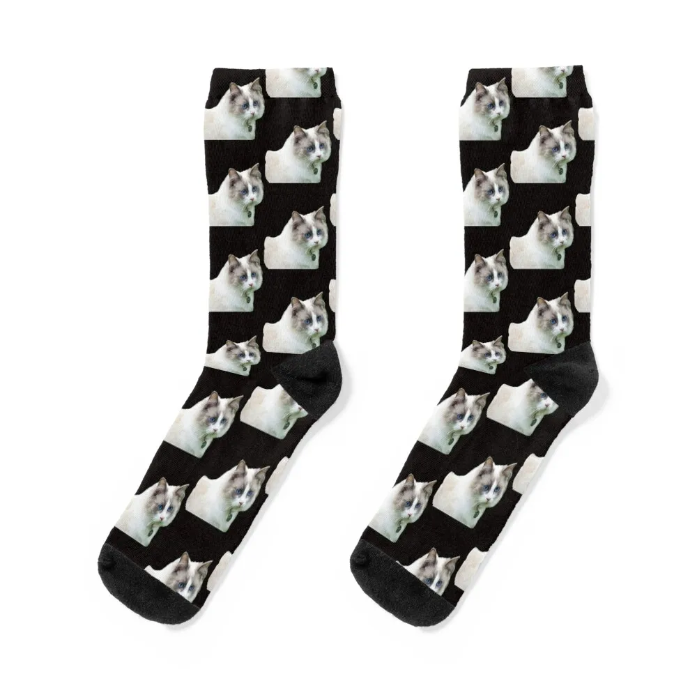 

Ragdoll cat TSHIRT Socks gift luxury essential men cotton high quality Men Socks Women's