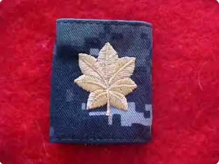 The US Navy's Original NWU Blue Digital Camouflage Gortex Maschinenanzug Ranks As Major