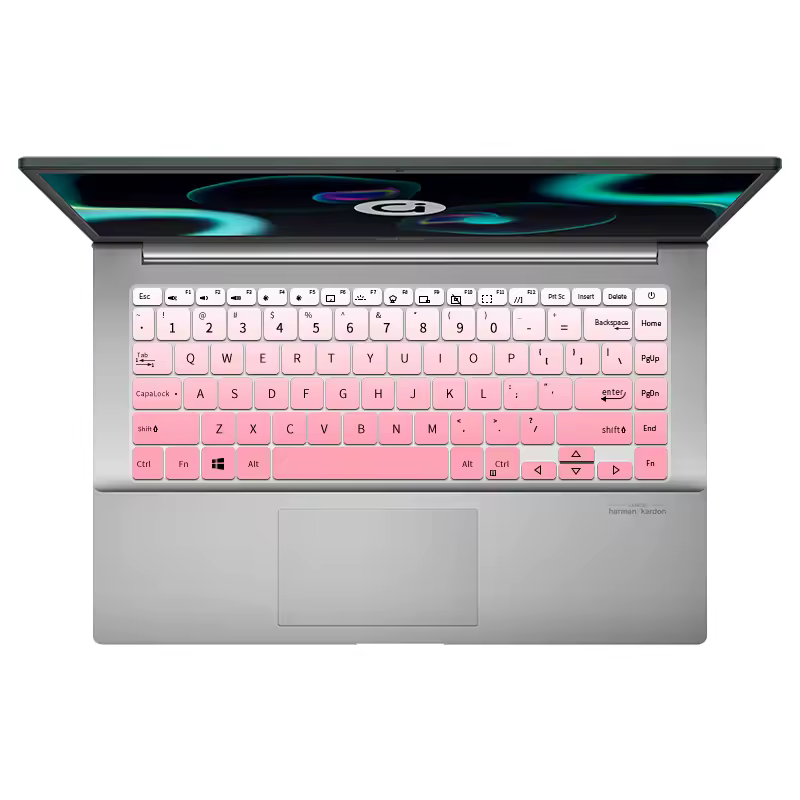 2. Asus Viv..