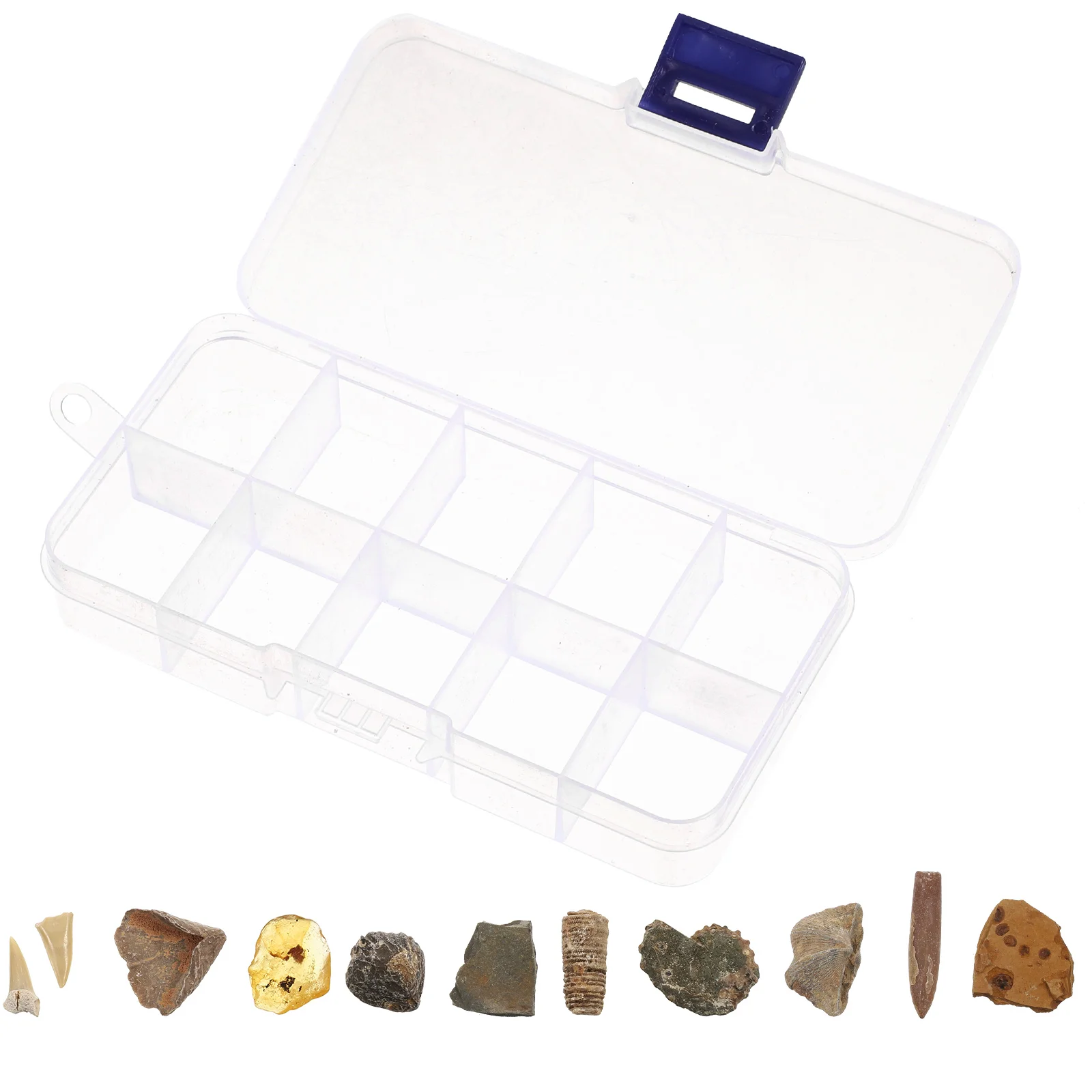 

10pcs Specimen Set Science Teaching Tool Ancient s Classroom Decor Desktop Adornment Paleontology Collection Stone