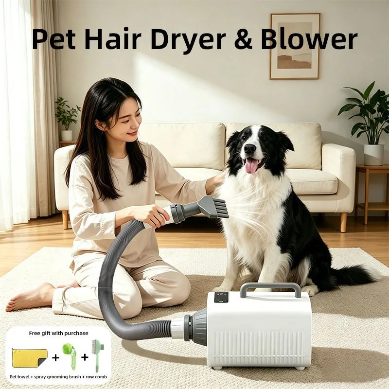 Hair Dryer Home Use High Power Dog Grooming Machine Specialized For Large Dogs Pet Shops Drying And Protecting Coat Blower