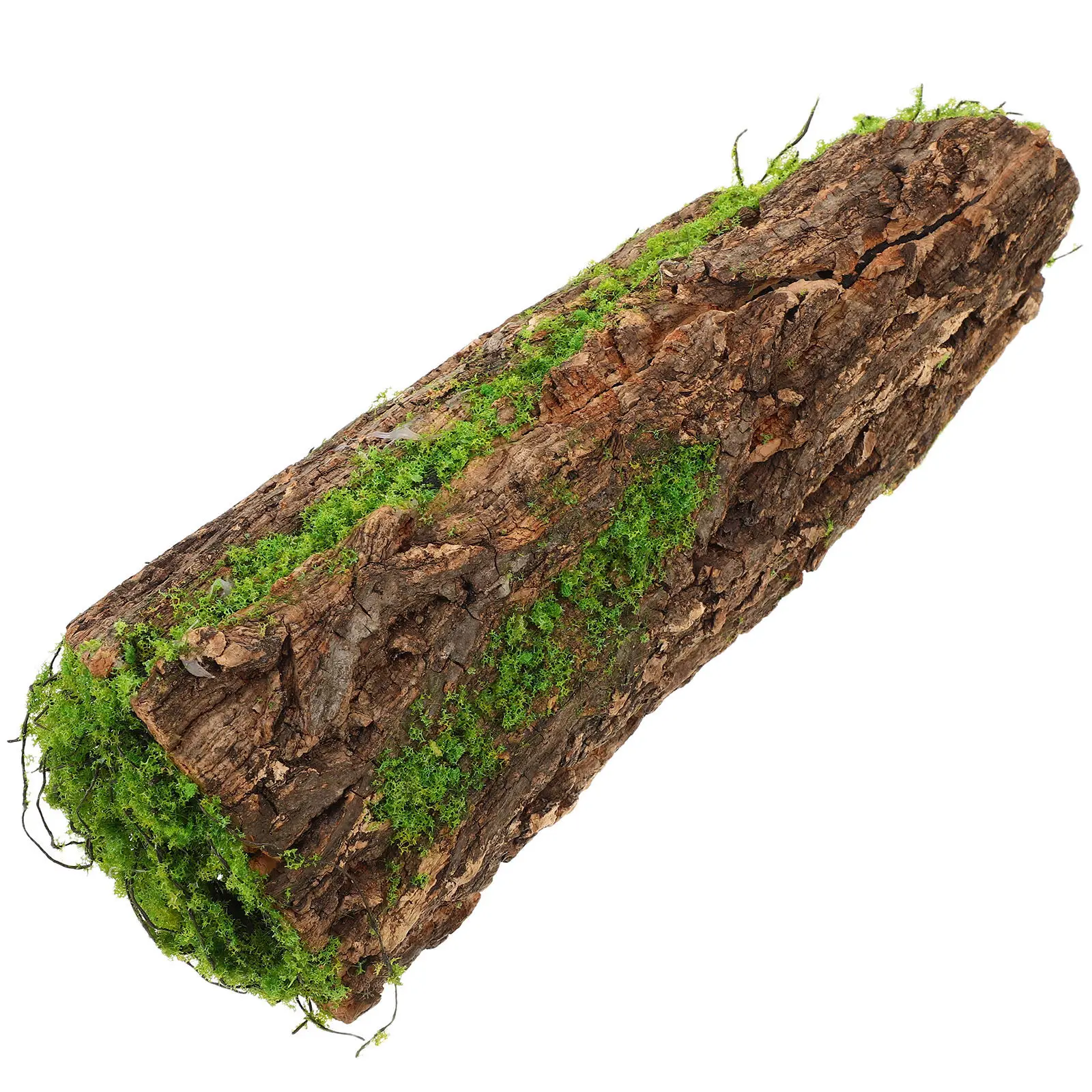 Muschio Artificiale su Legno d - Planted Aquarium With Driftwood recensione e prezzo