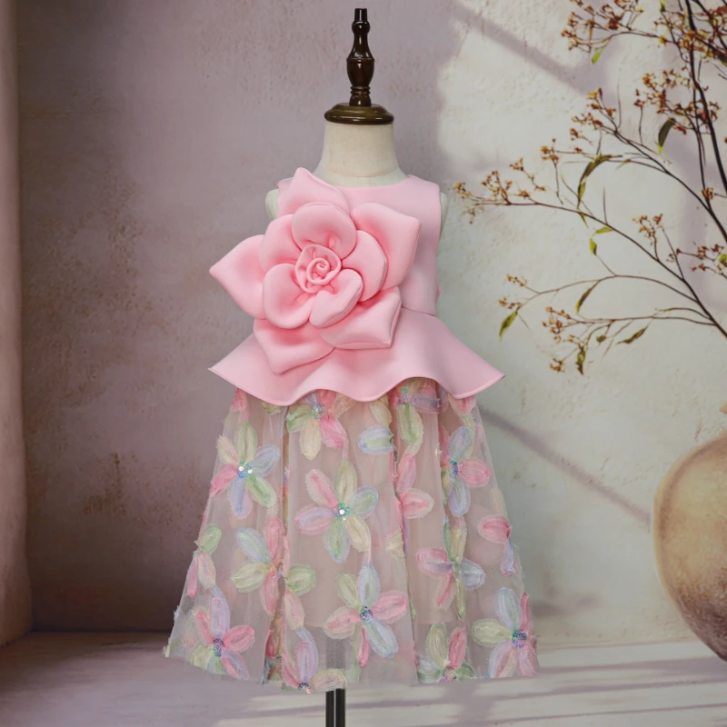 First Birthday Girls Princess Dress 3D Floral Gown Flower Girl Party Kids Pageant Host Performance Children Formal Celebration