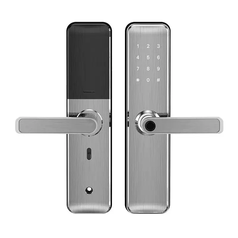 Factory New Fashion Serrure Intelligente Biometric Digital FingerPrint Password IC Card TTlock Smart Door Lock for Wooden Doors