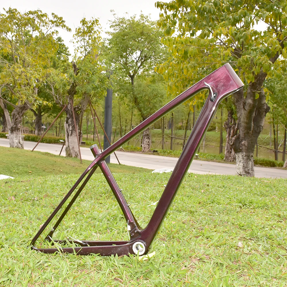 

Carbon Mountain Bike Frame, 29er Disc Brake, MTB 142/148x12 Boost, PF30/BB30/BSA, Chameleon Painted, Race Bike Frame, 2025