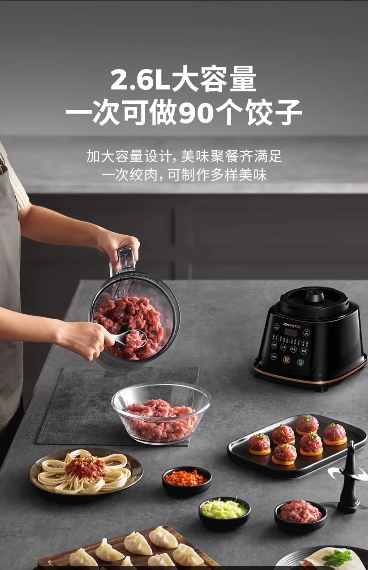 220V Premium Electric Mini Meat Grinder for Home Use with Multi-Function Fully Automatic Feature