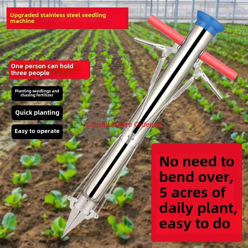 Planting Seedlings, Seedlings Vegetables, Special Seeds Pepper Seedlings Transfer Machine