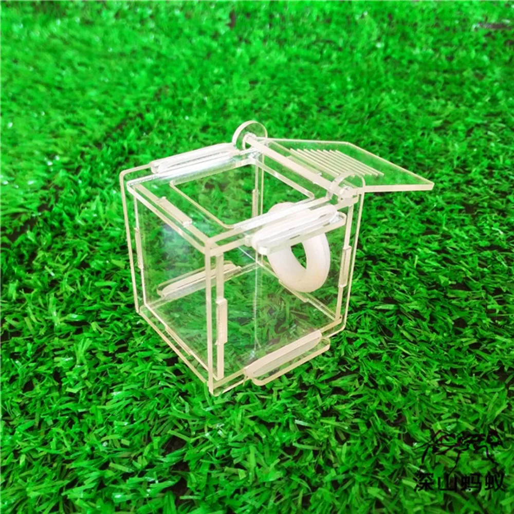 DIY Ecological Gypsum Ant Farm Test Tube Plaster Ant Nest Various Sizes Tubes Ant House Workshop for Pet Anthill Queen Ant