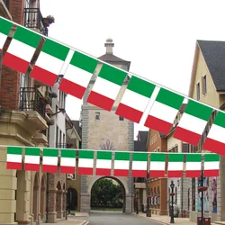 EOODLOVE Italian Flag 14x21cm Size Flag 20pcs High Quality Polyester Indoor and Outdoor Italian Decorative Flags