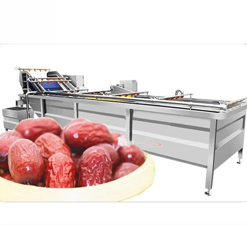Automatic Bubble Vortex Vegetable Washing Equipment Leafy Fruit Jujube Cleaning Machine Custom