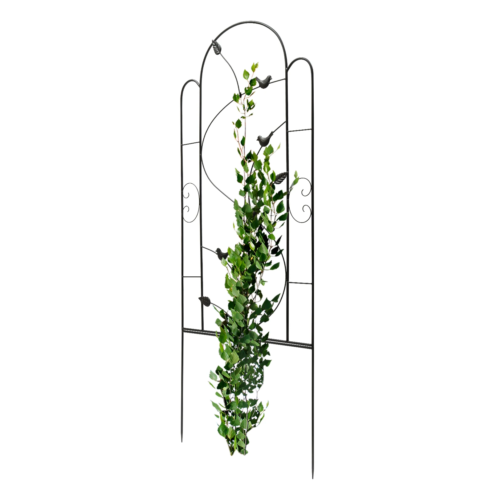 

Garden Trellis for Climbing Plants Outdoor - 2 Pack - 24*60inch， Cucumber Trellis, Rust Proof Metal Trellis