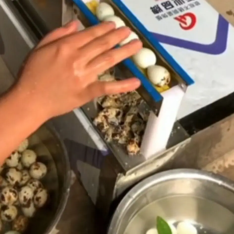 

Бытовая портативная электрическая машина для очистки перепелиных яиц