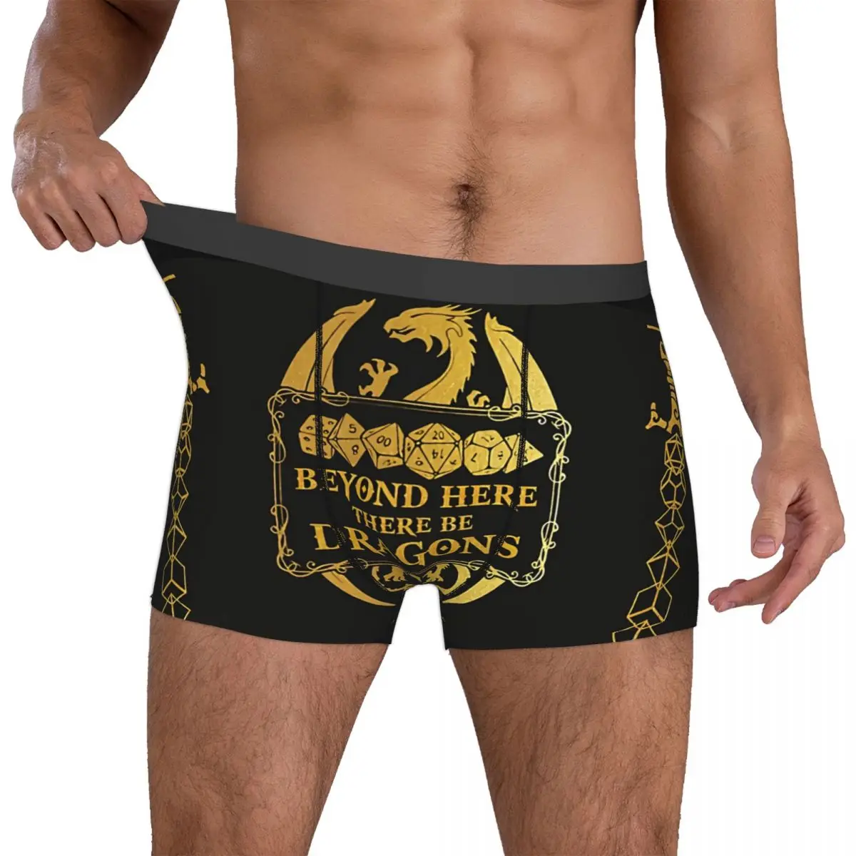 Beyond Here Man\'s Boxer Briefs Underwear DnD Game Highly Breathable High Quality Birthday Gifts