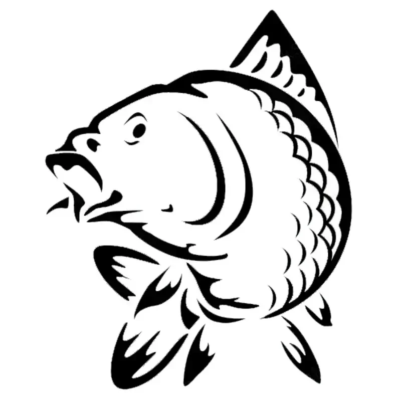 

Carp Fishing Vinyl Stickers, Fish Car Stickers 50cm x 39.5cm