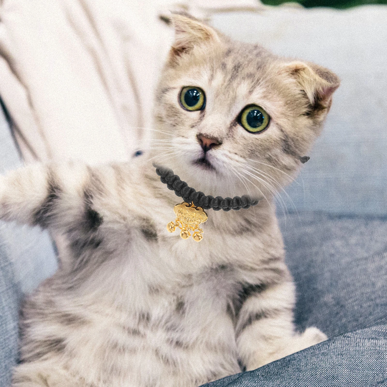 

Pet Gold Lock Necklace Adjustable Collar Bells for Cats Dogs Delicate Crafted Cat Dog Supplies Kitten Toys Indoor Teething