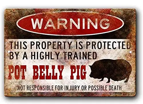 Agedsign Pot Belly Pig Sign,Funny Metal Signs,Pot Bellied Pig,Pot Belly Pig,Pig Warning Sign Metal Sign 12 X 16 Inches