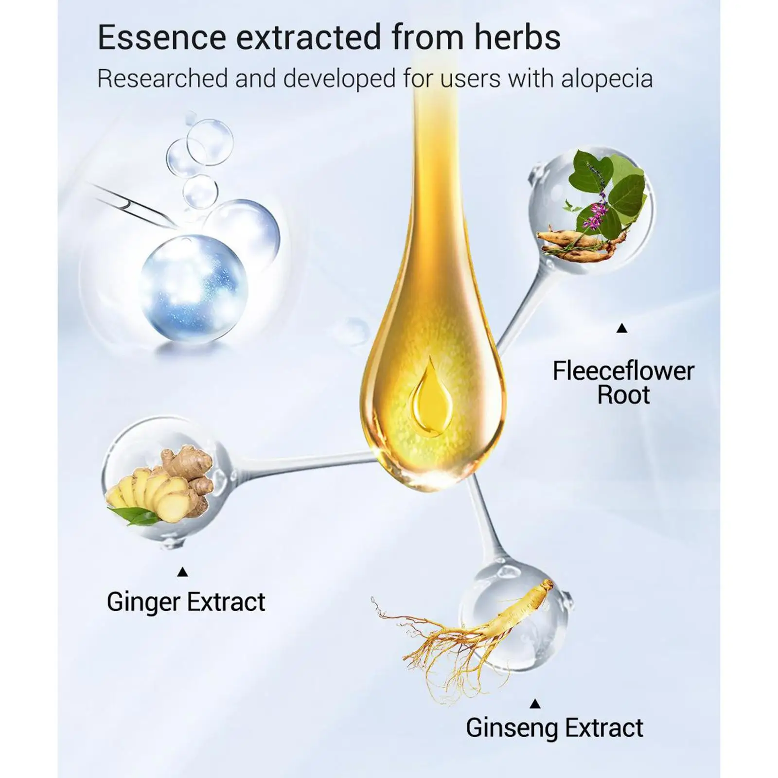 Hair Loss Prevention Ginger Natural Herb Growth Serum Oil Scalp Activator for Rapid Regrowth Treatment