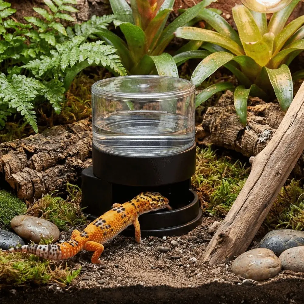 Thumbnail 2 - #42 Reptile Water Bowls Comparison Guide