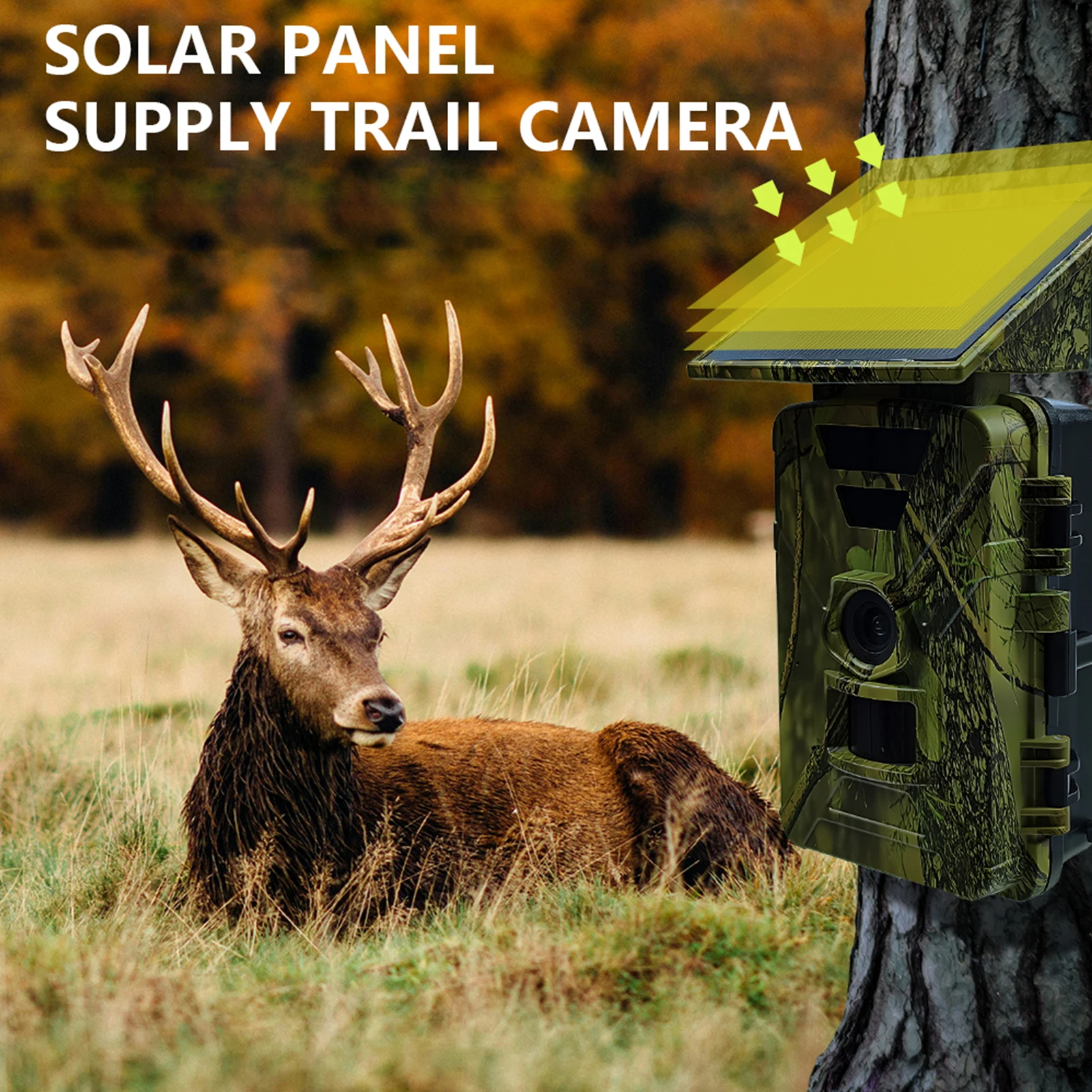 Thumbnail 4 - #16 Compare Trail Cameras Before You Buy