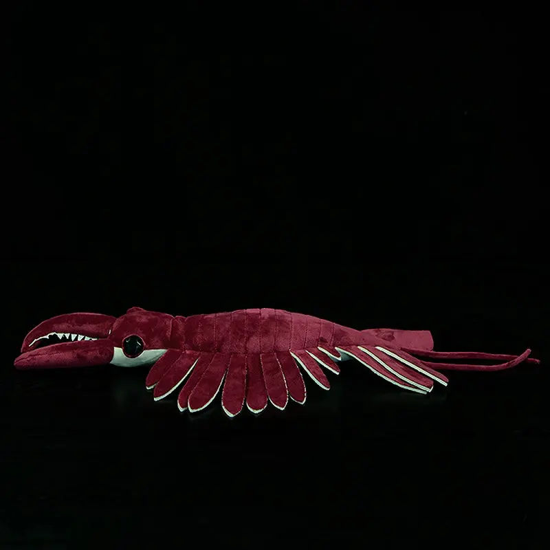 53x33cm Anomalocaris Plüsch tier Simulation schaufel förmige Garnelen Original Paläo nto logie Serie Meeres bewohner Modell Puppe Mädchen Geschenke