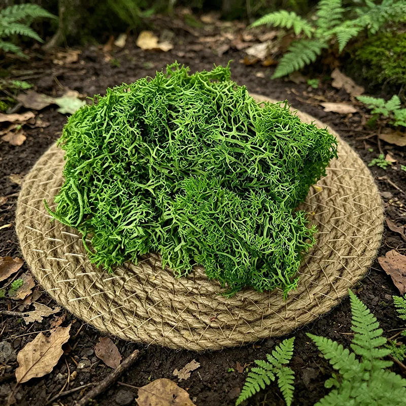 10g Simuliertes Mini-Moos Pflanzenmaterial für DIY Sandtisch Landschaftsmodellbausatz Diorama Zubehör