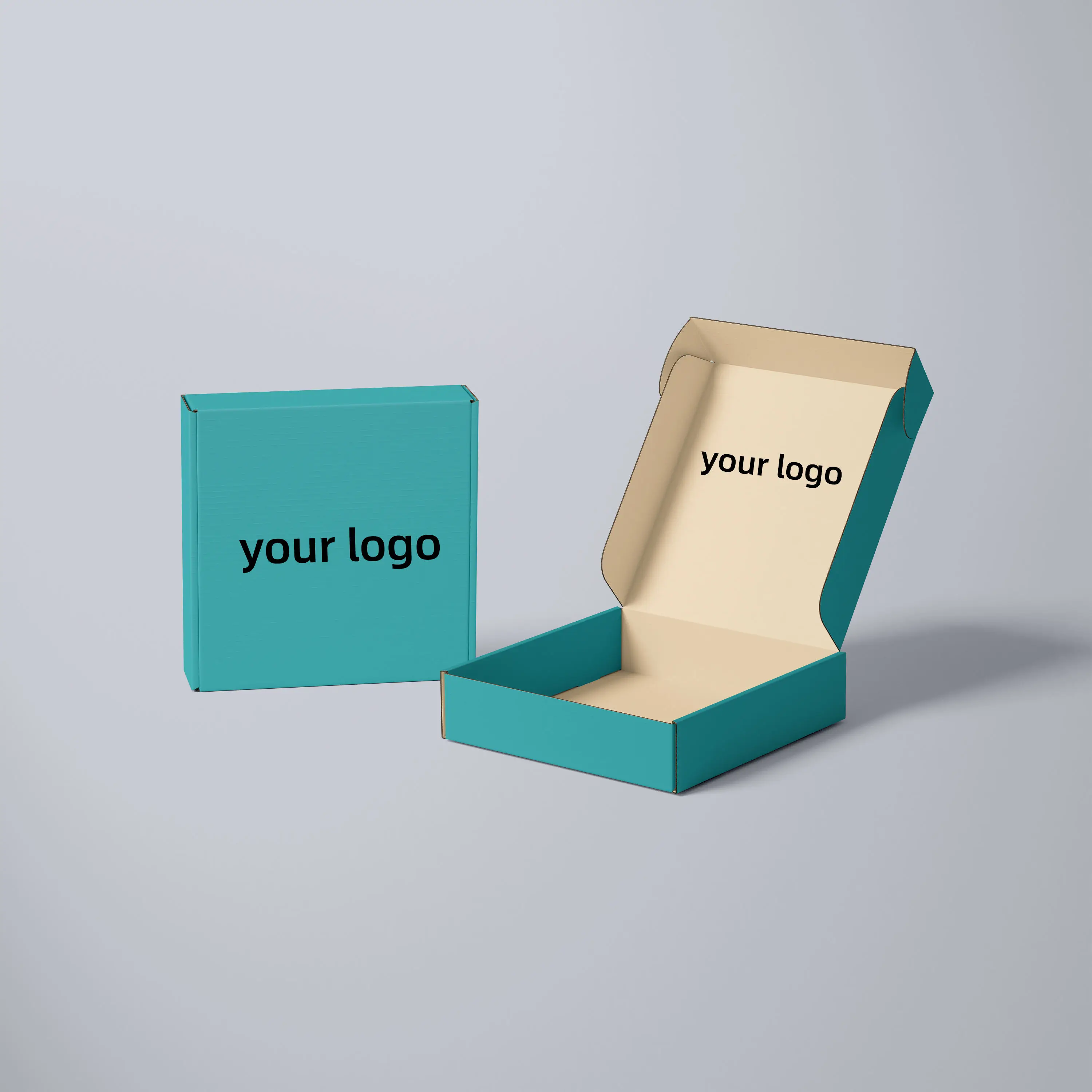 Luxury Custom Logo Airplane Packaging Box Corrugated Cardboard Gift Box for Shoes Clothing Packaging