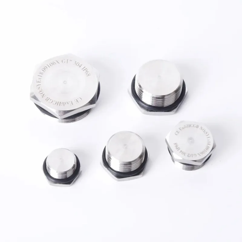 304 Stainless Steel Outer Hexagonal Solid Explosion-Proof Plug M12/14/16/18/20/22/25/27/32 x 1.5 Male Threaded Ring Sealing Plug
