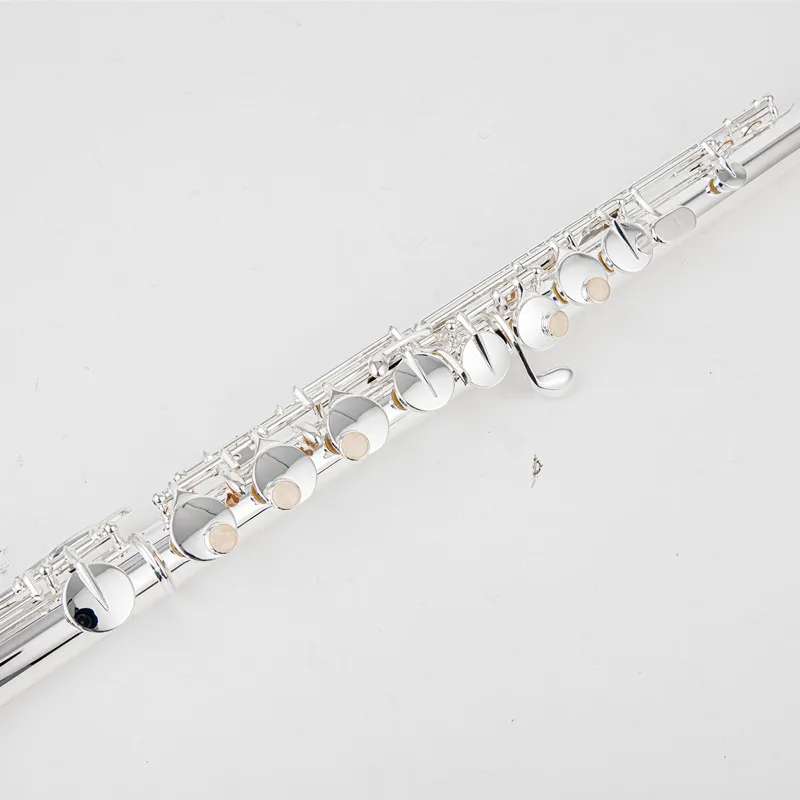 Sankyo AF301 알토 플루트 G Tune 16 폐쇄형 홀 키 슬리버 도금 전문 악기 케이스 포함 무료 배송