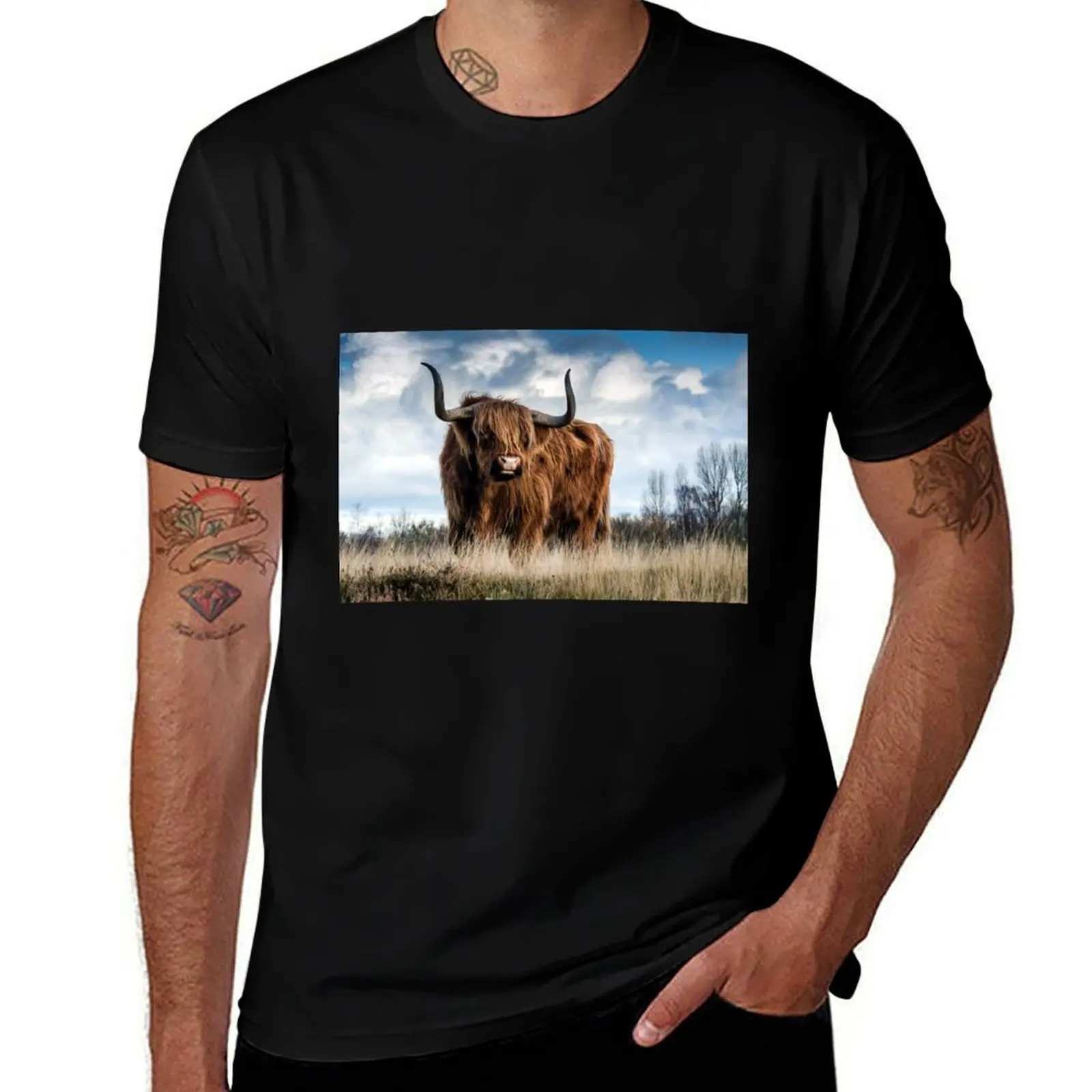 

Beautiful Highland Cattle T-Shirt t shirts for man graphic tees graphic t shirts for man T-Shirt