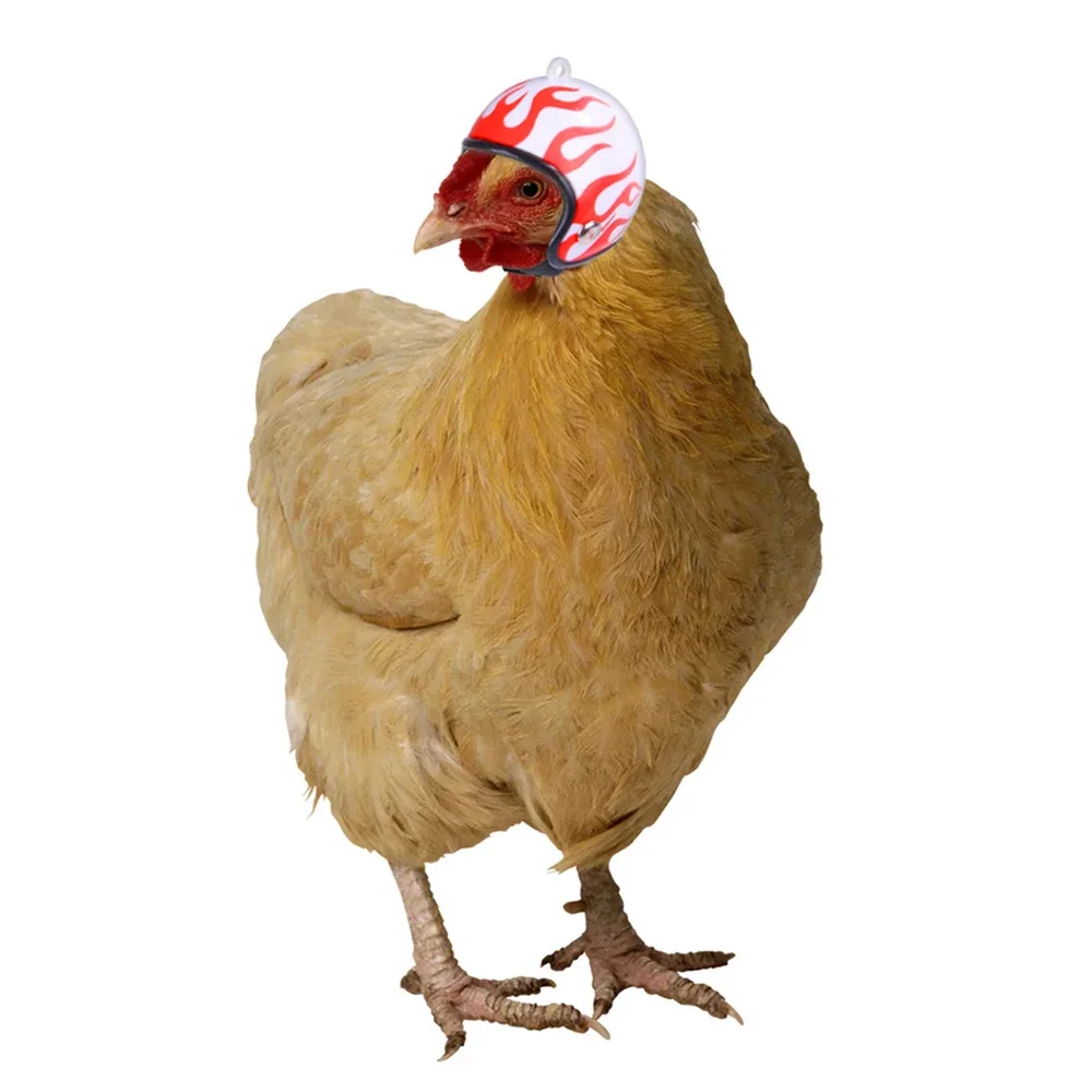 Funny Chicken Helmet Small Bird Duck Quail Hard Hat Headgear Prevent The Chicken From Smash Protect for Hens Head Pet Supplies