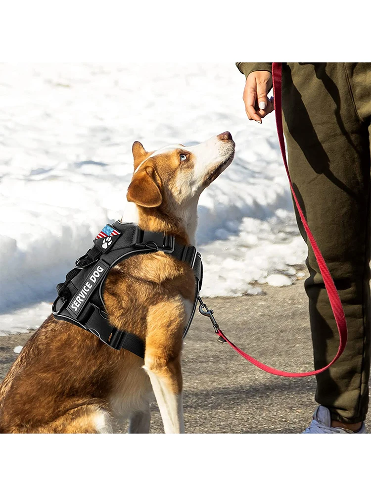 Service-Hundegeschirr, reflektierendes Hundeweste-Geschirr mit 5-teiligem Aufnäher, verstellbares weiches Oxford-Haustiergeschirr, Innenschicht-Netz, einfach – Detail 6