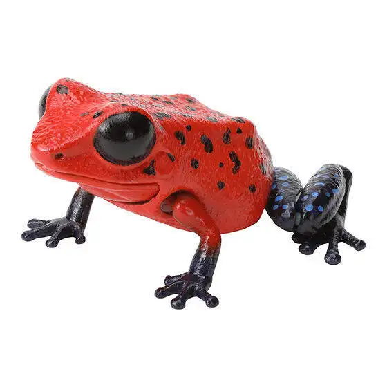 Bandai Creature Encyclopedia: Dart Frog, Frog & Strawberry  Dart Frog Realistic Animal Figure Decoration Model Toy view 3