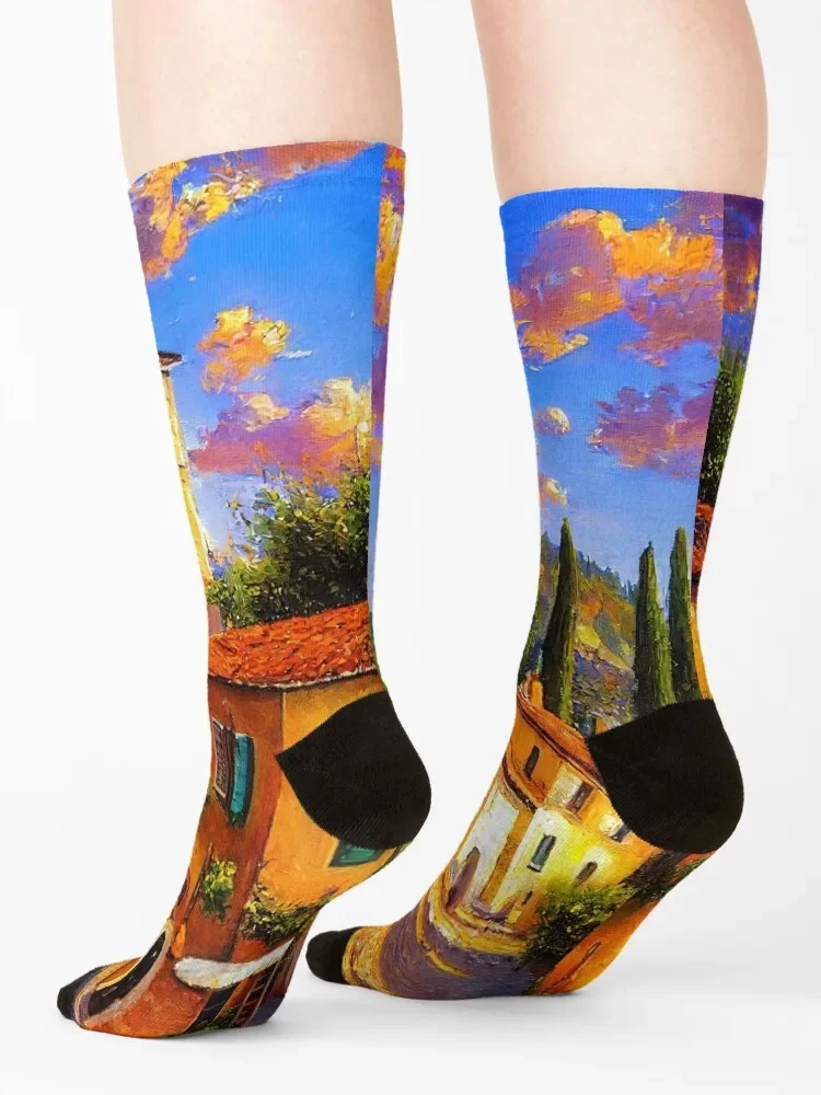 Villages of Tuscany Socks new in's sports stockings Boy Socks Women's