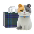 calico cat
