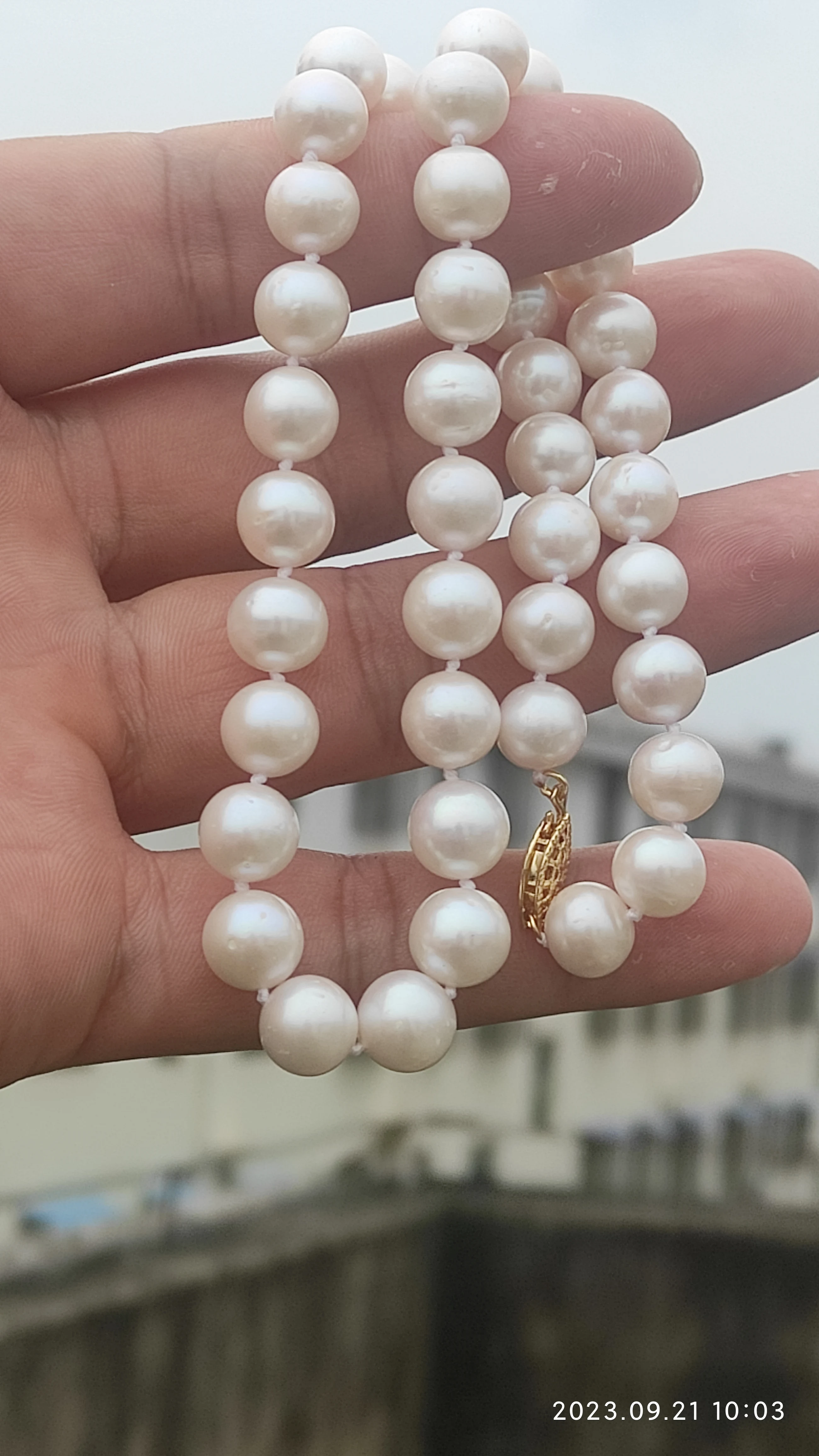 AAA++++8-9mm circular natural akoya white pearl necklace 18\