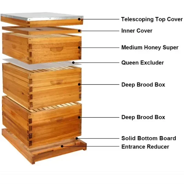 Manufacturers Langstroth Beehive Kit Bee Hives Complete Beekeeping Bee Hive Kit for bee hive box