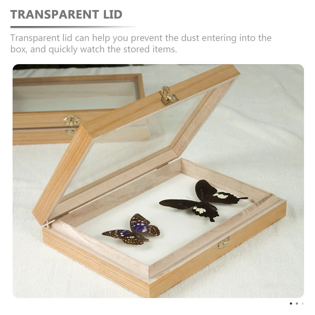 

Wooden Specimen Display Case for Butterflies Insects Jewelry Collection Transparent Cover Dust-Proof Desktop Decorative Box