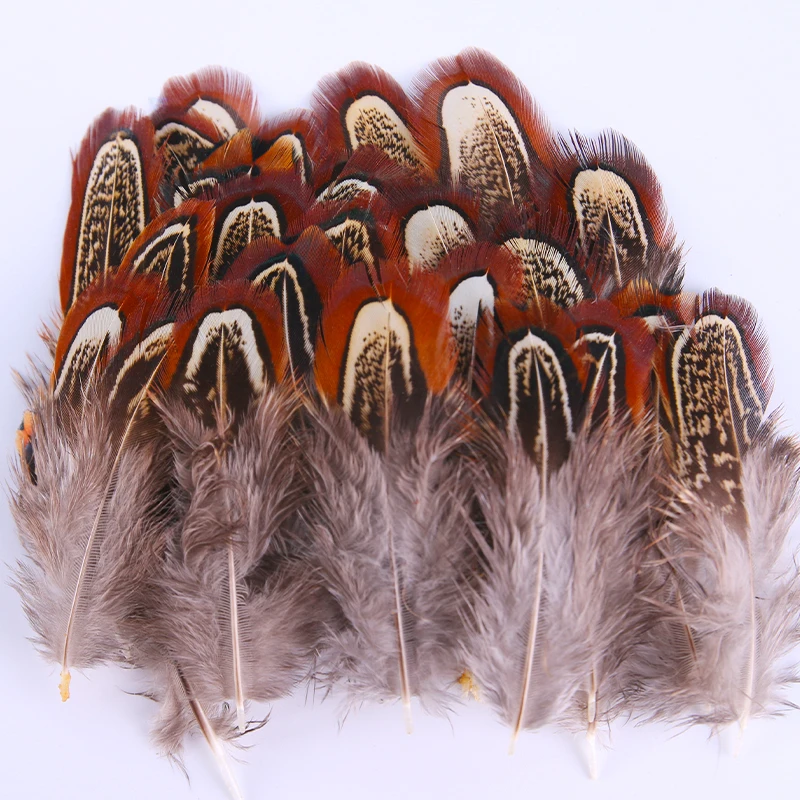 

200Pcs/lot 5-8cm Pretty Nature Ringneck Pheasant Almond Plumage Feathers,Loose Ringneck Pheasant Feathers,Feathers for Crafts