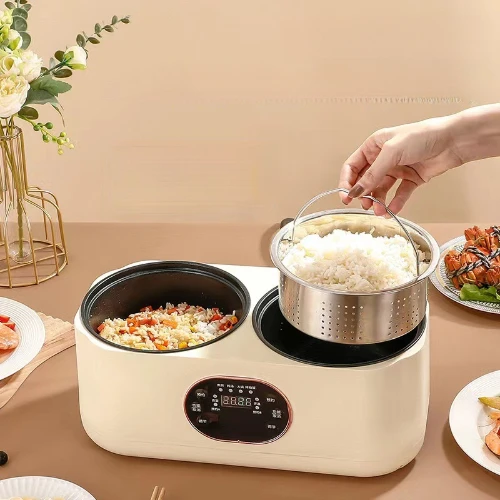 DFNDZ 이중 담낭 전기 밥솥 가정용 다기능 전기 밥솥 전기 냄비
