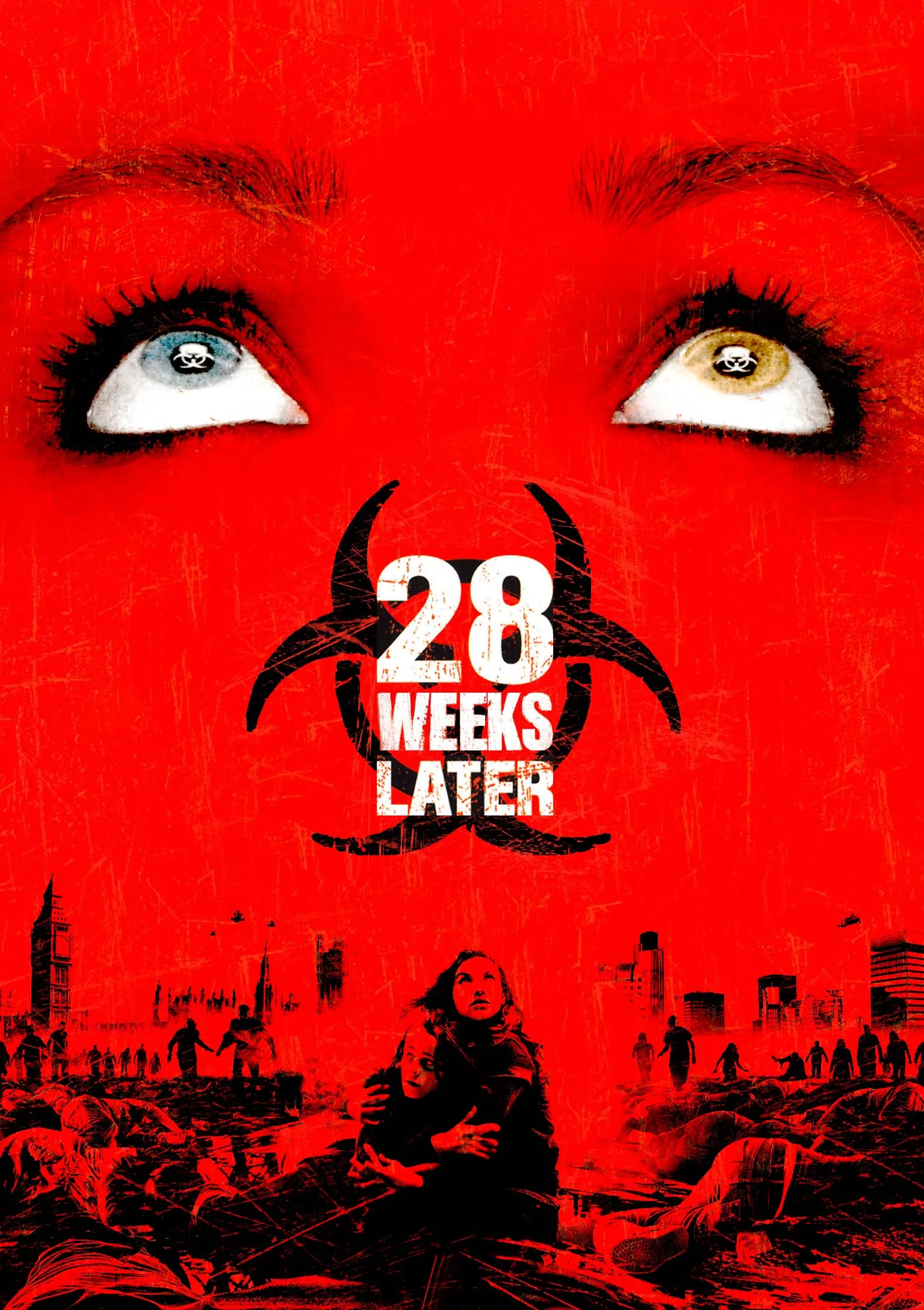Hot Rare Movie 28 Weeks Later (2007) Art SILK POSTER Wall Art Home Decorative painting